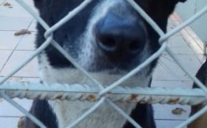 05.03.2020 Witosa S