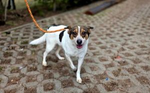 05.03.2026 - Kusocinskiego