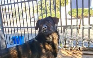 05.03.2026 - Staromiejska