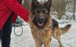 08.02.206 - Ogrodnicza