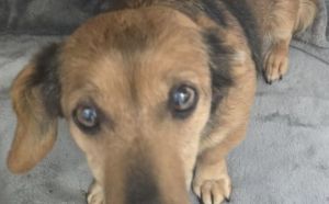 1.01.2026 Wolanowska S