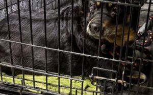 1.01.2026 r. Slowackiego S