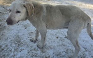 1.02.2026 r. J. Kuronia S