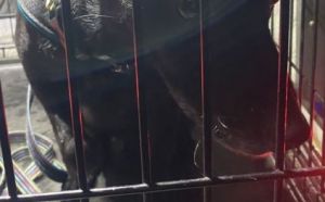 10.10.2025 r. Mila S