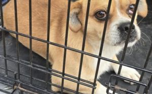 10.11.2025 r. Slowackiego  S