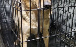 12.03.2026 r. Szymanowskiego S