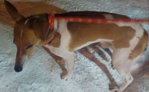 13.01.2026 r. Mariacka S