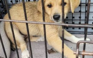 13.09.2025 r. Odrodzenia S