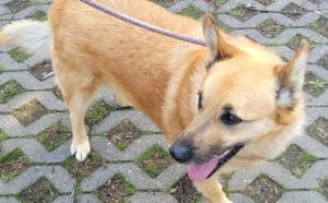 13.09.2025 r. Slaska S