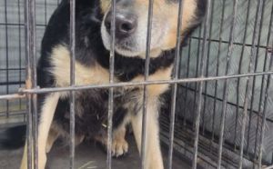 13.12.2025 r. Bakalarza S