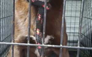 14.02.2026 r. Mazowiecka S