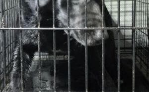 14.03.2026 r. Okulickiego S