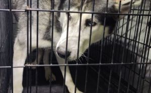 14.10.2025 r. Wyscigowa S