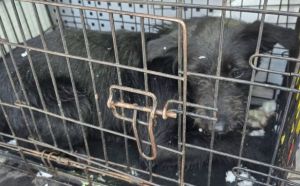 15.01.2026 r. Lipskiego. S