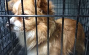 16.01.2026 r. Godowska S