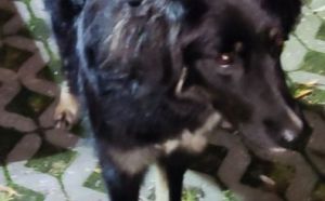 16.09.2022 Kozienicka S