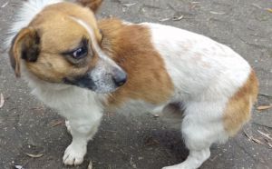 16.11.2025 r. Kozienicka S