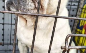 17.03.2026 r. Rynek S