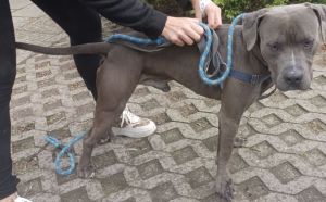 17.09.2025 r. Mlodzianowska S