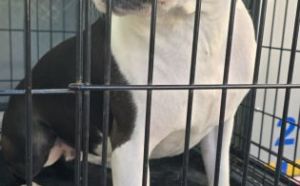 17.09.2025 r. Zeromskiego S