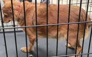 18.09.2025 r. Pradzynskiego S