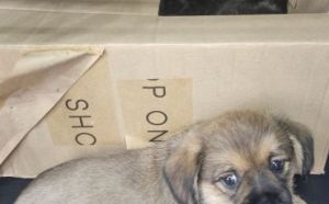 19.09.2025 r. Sucha S