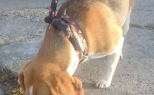 2.10.2025 r. Grobickiego S