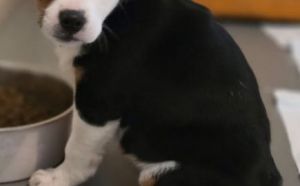 2.12.2025 r. Witosa. S