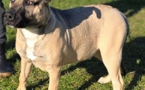 20.11.2025 r. Rataja S