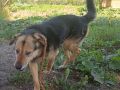 21.06.2026 r. Brzustowska S
