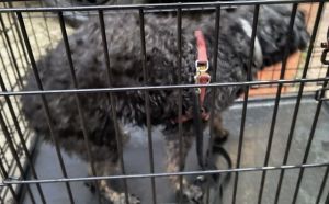 23.09.2025 r. Moniuszki S