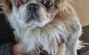 23.10.2025 r. Kozienicka L