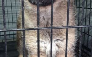 24.02.2026 r. Parkowa S