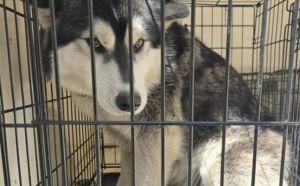 24.04.2026 r. Stalowa S