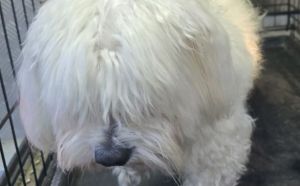 24.09.2025 r. Chrobrego S