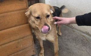 25.02.2026 - Limanowskiego