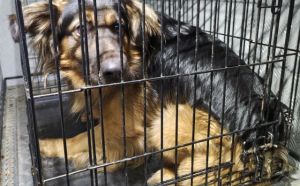 25.02.2026 r. Traugutta S