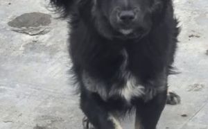 25.03.2026 r. MieszkaI S