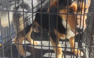 25.09.2025 r. Rybna S