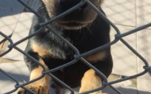 25.09.2025 r. Witosa S