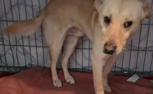 26.01.2026 r. Witosa S