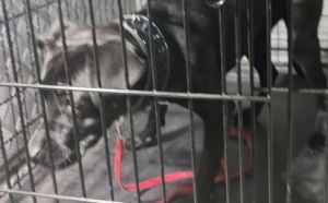 26.09.2025 r. Bulwarowa S