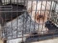 27.03.2026 r. Wysoka S