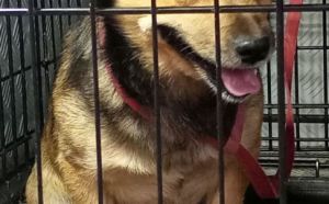 27.08.2025 r. 11 Listopada S