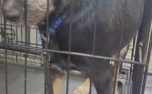 27.09.2025 r. Klwatecka S