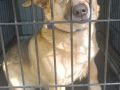 28.04.2024 Nizinna S — kopia
