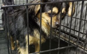 28.09.2025 r. Bakalarza S