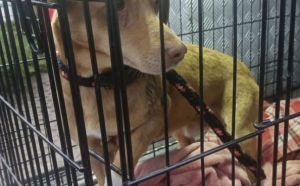 28.10.2025 r, Kolberga S