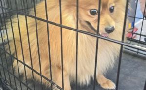 29.08.2025 r. Chrobrego S