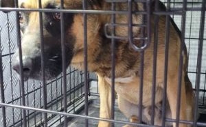 29.09.2025 r. Koszykowa S